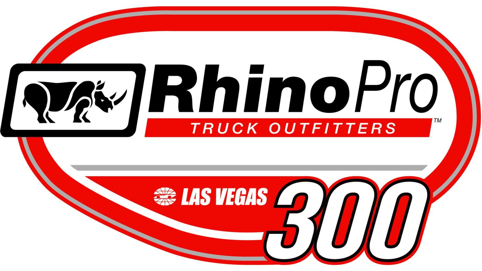 Rhino Pro Truck Outfitters 300